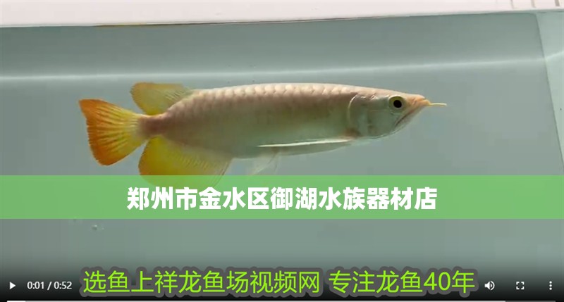 鄭州市金水區御湖水族器材店