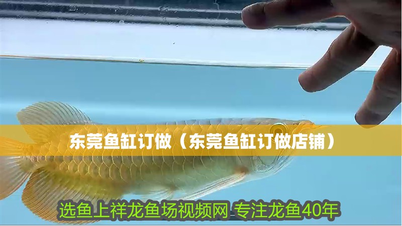 東莞魚缸訂做（東莞魚缸訂做店鋪）