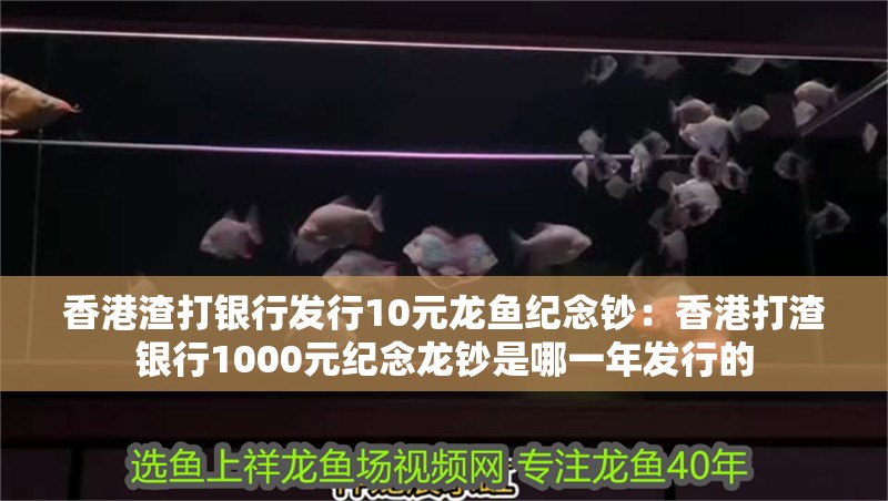 香港渣打銀行發(fā)行10元龍魚紀念鈔：香港打渣銀行1000元紀念龍鈔是哪一年發(fā)行的