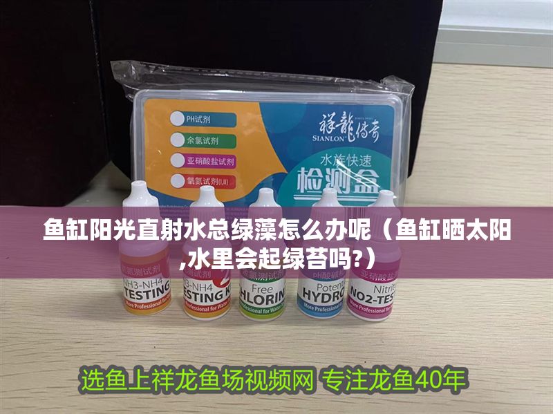 魚缸陽光直射水總綠藻怎么辦呢（魚缸曬太陽,水里會起綠苔嗎?）