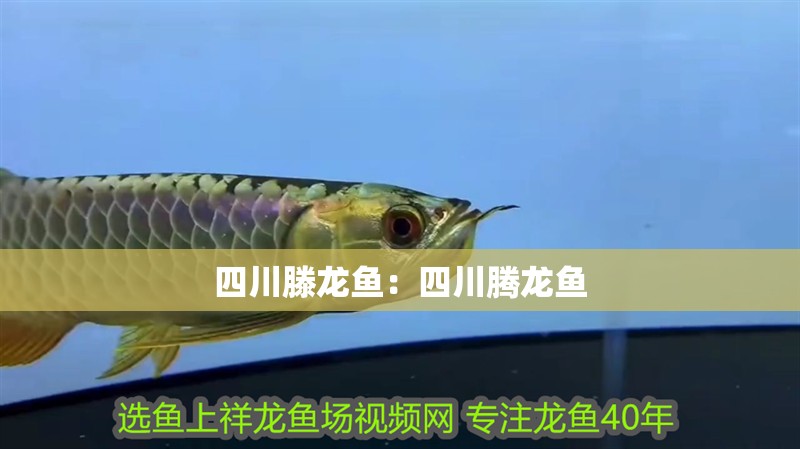 博特水泵售后服務電話(博特水泵售后服務站哪里有)