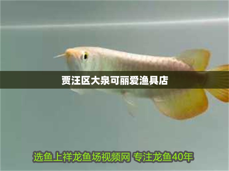 賈汪區大泉可麗愛漁具店