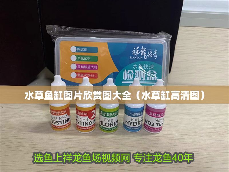 水草魚缸圖片欣賞圖大全（水草缸高清圖）