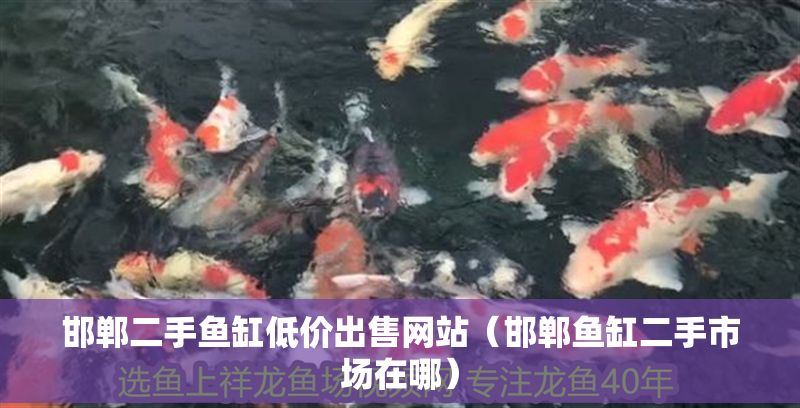 邯鄲二手魚缸低價出售網(wǎng)站（邯鄲魚缸二手市場在哪）
