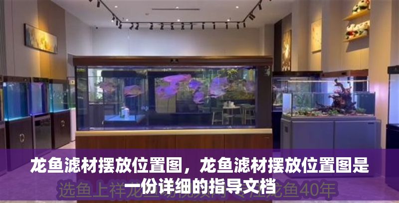龍魚濾材擺放位置圖，龍魚濾材擺放位置圖是一份詳細(xì)的指導(dǎo)文檔