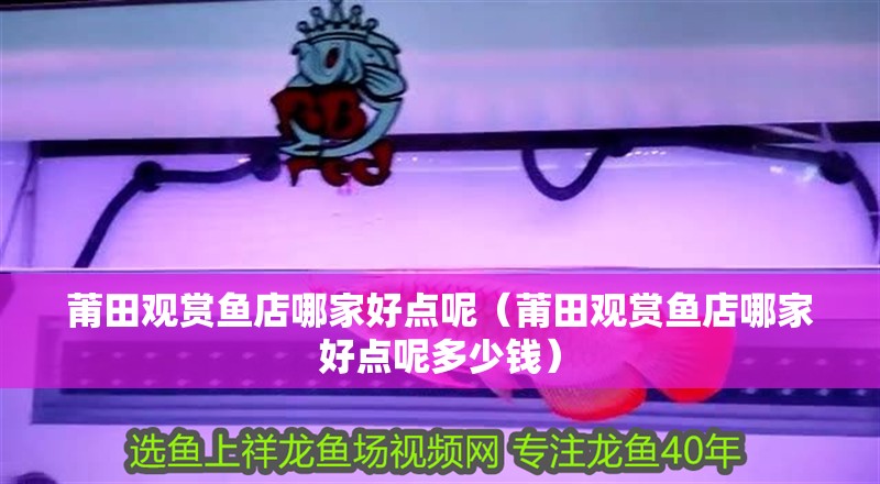莆田觀賞魚店哪家好點呢（莆田觀賞魚店哪家好點呢多少錢）