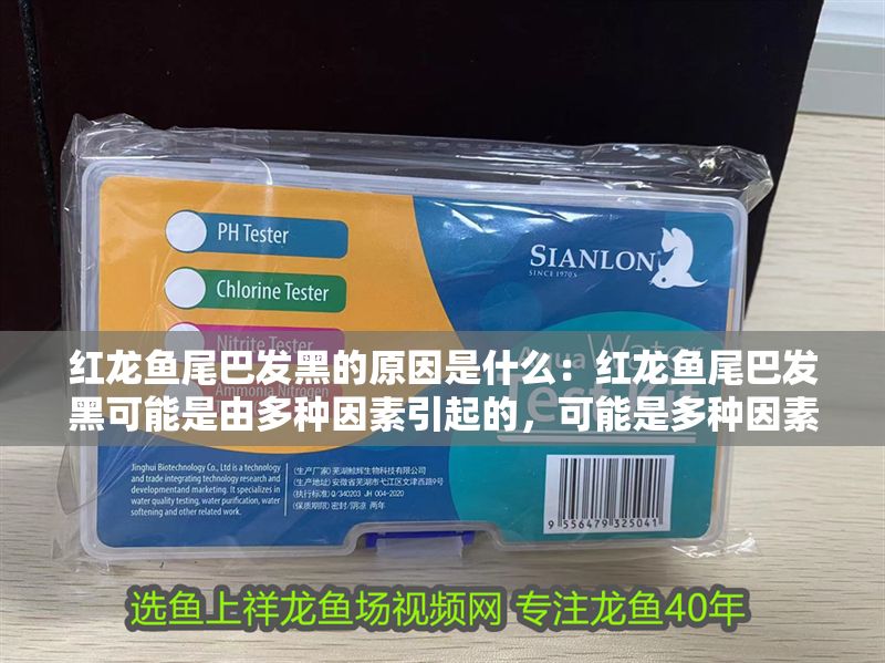 紅龍魚尾巴發黑的原因是什么：紅龍魚尾巴發黑可能是由多種因素引起的，可能是多種因素引起的