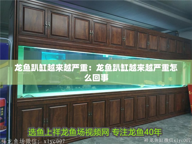 龍魚趴缸越來越嚴(yán)重：龍魚趴缸越來越嚴(yán)重怎么回事