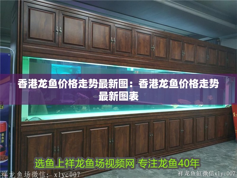 香港龍魚價(jià)格走勢(shì)最新圖:香港龍魚價(jià)格走勢(shì)最新圖表