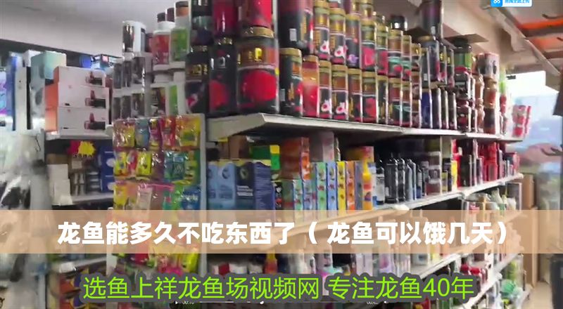 龍魚能多久不吃東西了（ 龍魚可以餓幾天）