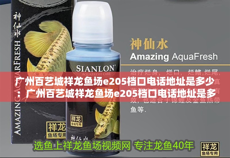 廣州百藝城祥龍魚場e205檔口電話地址是多少：廣州百藝城祥龍魚場e205檔口電話地址是多少號