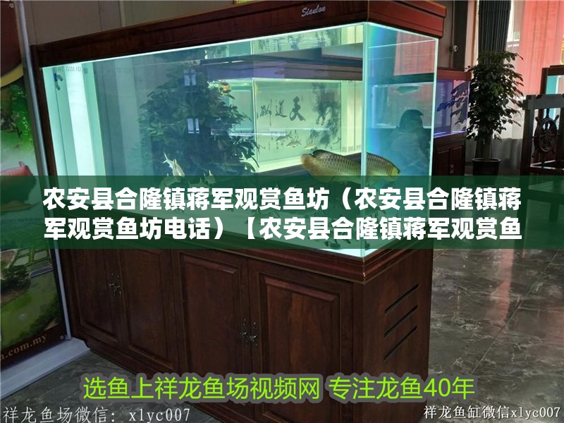 農安縣合隆鎮蔣軍觀賞魚坊（農安縣合隆鎮蔣軍觀賞魚坊電話）【農安縣合隆鎮蔣軍觀賞魚坊】