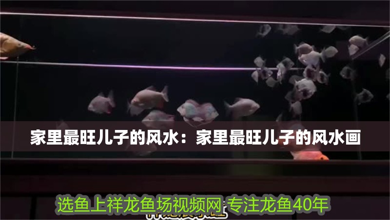 家里最旺兒子的風(fēng)水：家里最旺兒子的風(fēng)水畫(huà)