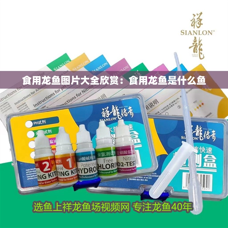 食用龍魚圖片大全欣賞：食用龍魚是什么魚