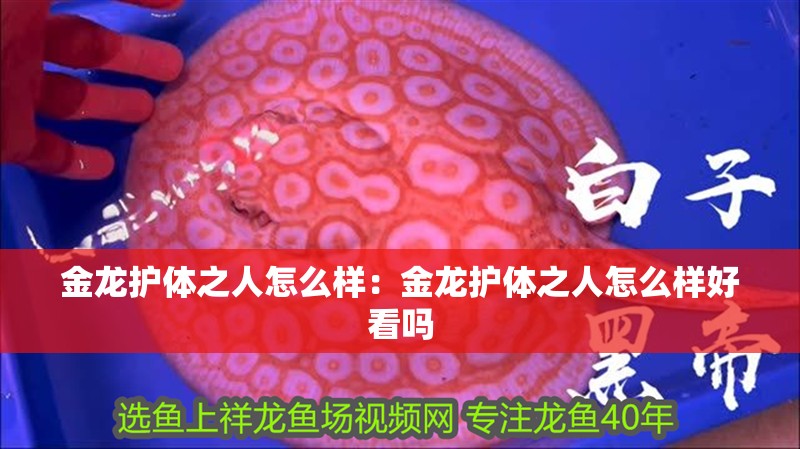 金龍護體之人怎么樣：金龍護體之人怎么樣好看嗎