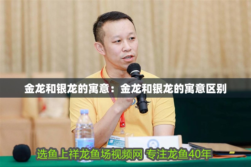 金龍和銀龍的寓意：金龍和銀龍的寓意區別