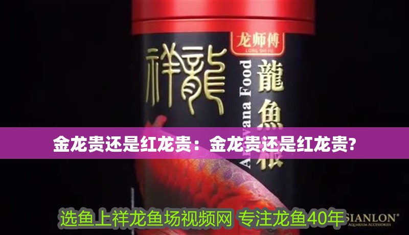 金龍貴還是紅龍貴：金龍貴還是紅龍貴?