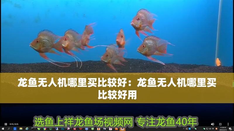 龍魚無人機(jī)哪里買比較好：龍魚無人機(jī)哪里買比較好用