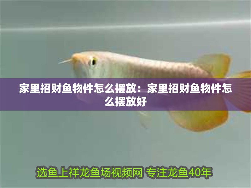 家里招財魚物件怎么擺放：家里招財魚物件怎么擺放好