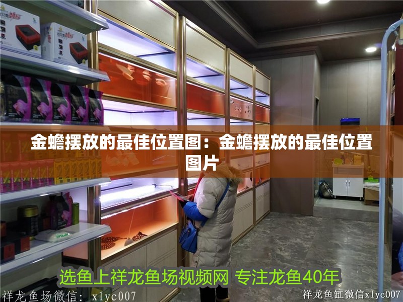 金蟾擺放的最佳位置圖：金蟾擺放的最佳位置圖片