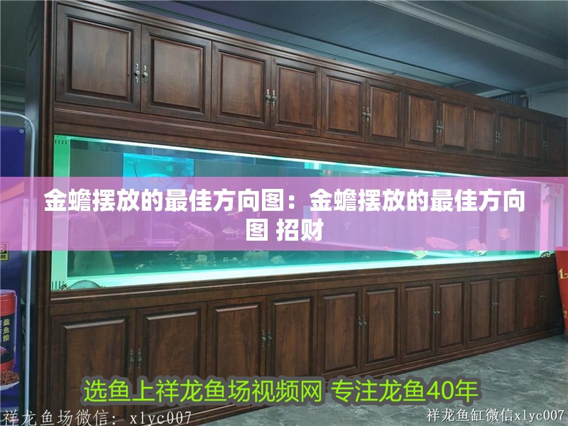 金蟾擺放的最佳方向圖：金蟾擺放的最佳方向圖 招財