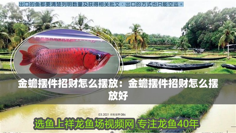 金蟾擺件招財怎么擺放:金蟾擺件招財怎么擺放好