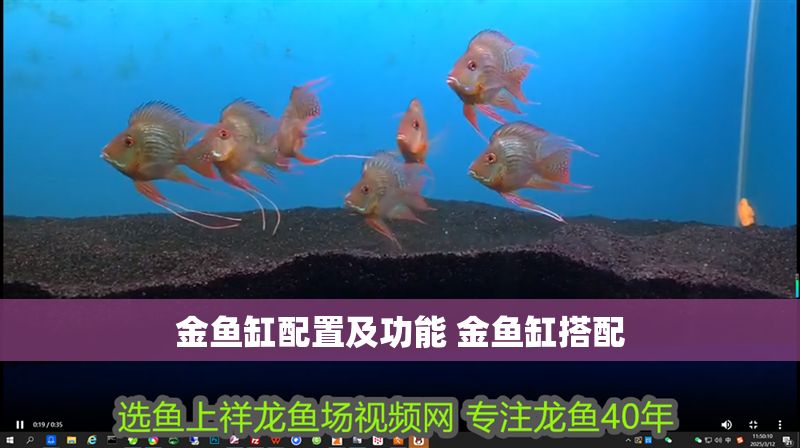 金魚缸配置及功能 金魚缸搭配 龍魚百科 第1張 金魚缸配置及功能 金魚缸搭配 金魚缸配置及功能 金魚缸搭配 龍魚百科 第1張