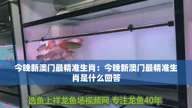 今晚新澳門最精準生肖：今晚新澳門最精準生肖是什么回答