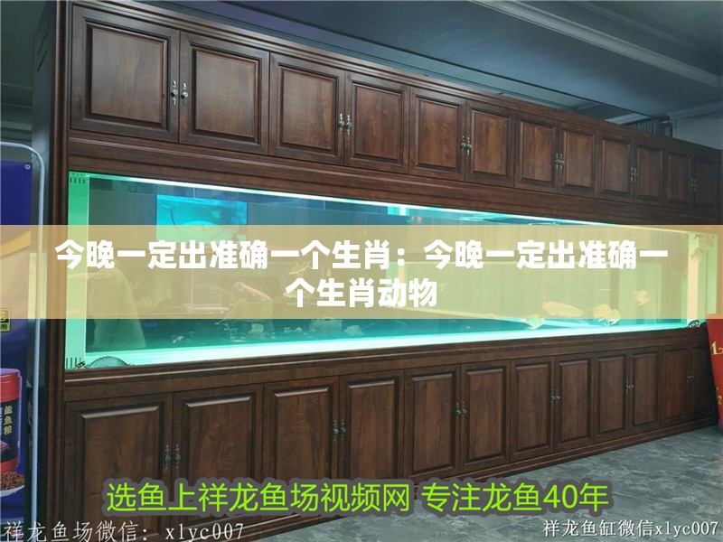 今晚一定出準確一個生肖：今晚一定出準確一個生肖動物