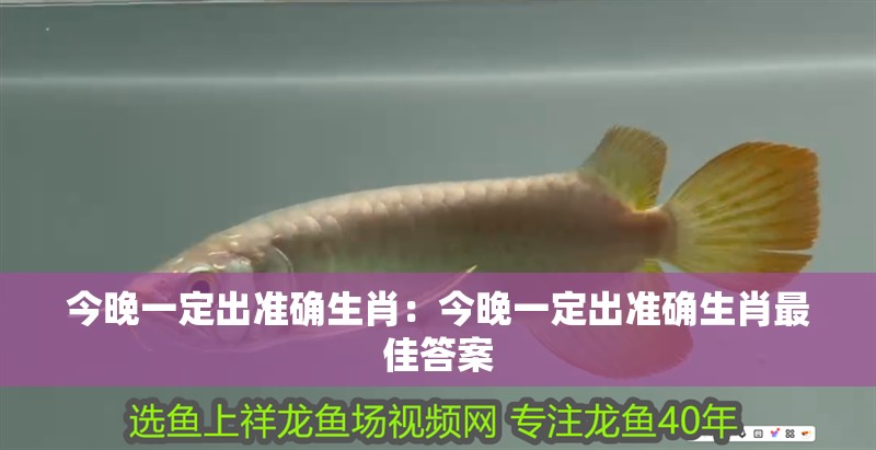 今晚一定出準(zhǔn)確生肖：今晚一定出準(zhǔn)確生肖最佳答案