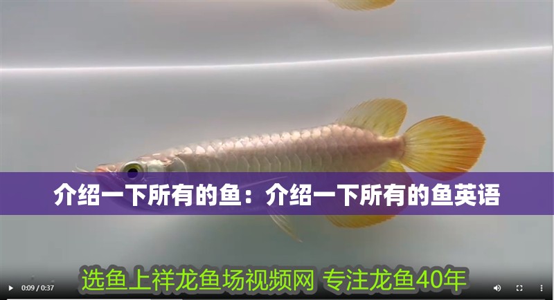 介紹一下所有的魚：介紹一下所有的魚英語