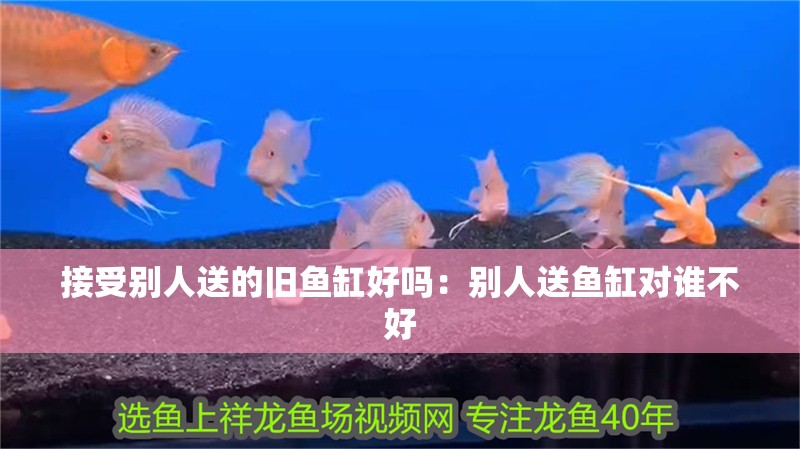 接受別人送的舊魚缸好嗎：別人送魚缸對誰不好