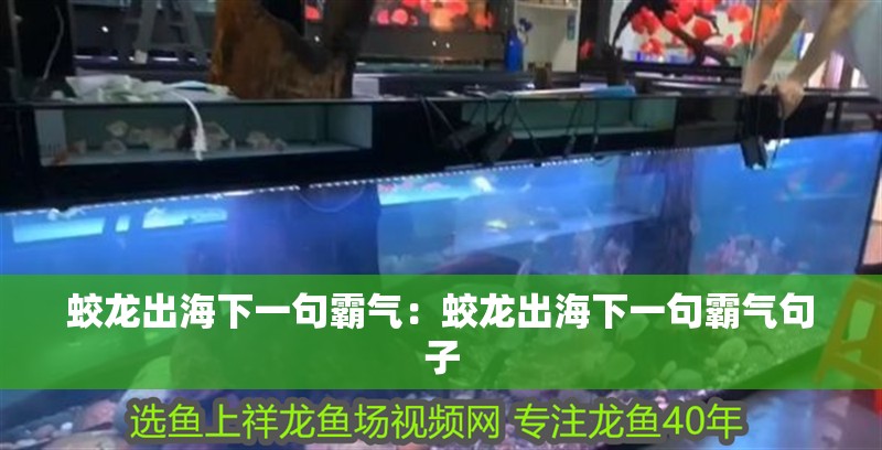 蛟龍出海下一句霸氣：蛟龍出海下一句霸氣句子