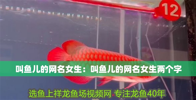 叫魚兒的網(wǎng)名女生：叫魚兒的網(wǎng)名女生兩個字