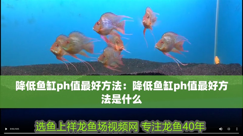 降低魚缸ph值最好方法：降低魚缸ph值最好方法是什么