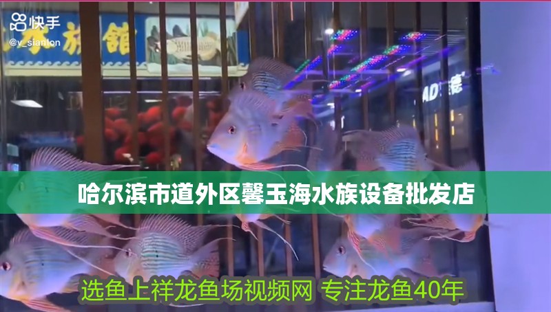 哈爾濱市道外區馨玉海水族設備批發店