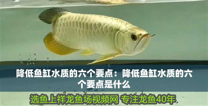 降低魚缸水質的六個要點：降低魚缸水質的六個要點是什么