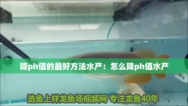 降ph值的最好方法水產：怎么降ph值水產
