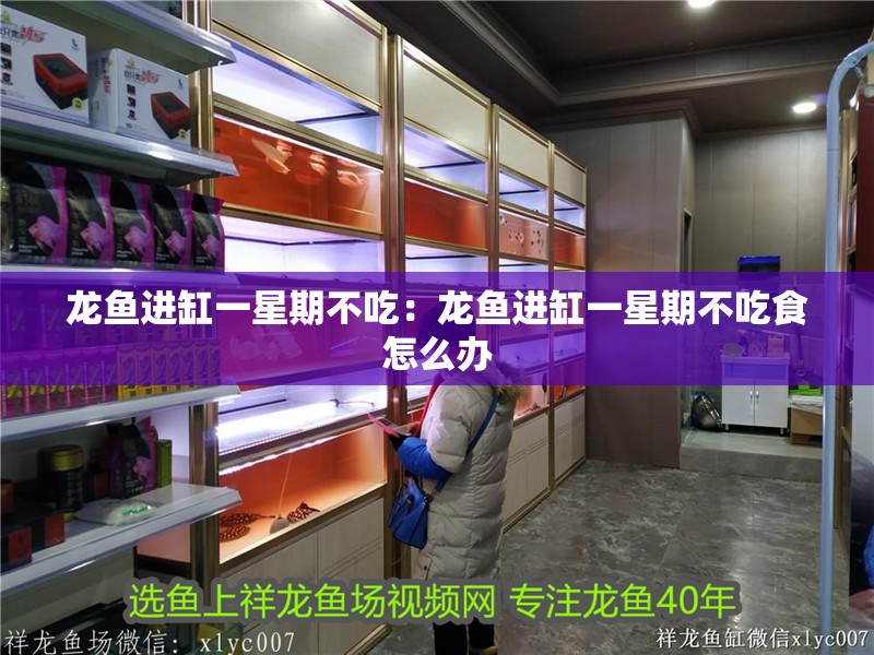 龍魚都有哪些品牌好用