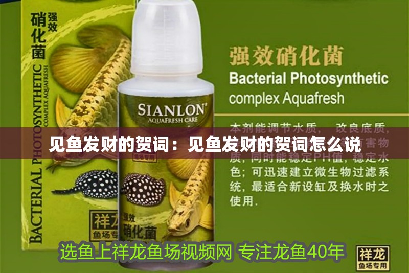 見魚發(fā)財(cái)?shù)馁R詞:見魚發(fā)財(cái)?shù)馁R詞怎么說