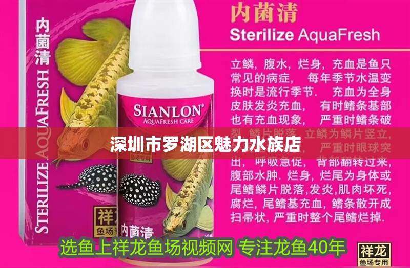 深圳市羅湖區(qū)魅力水族店