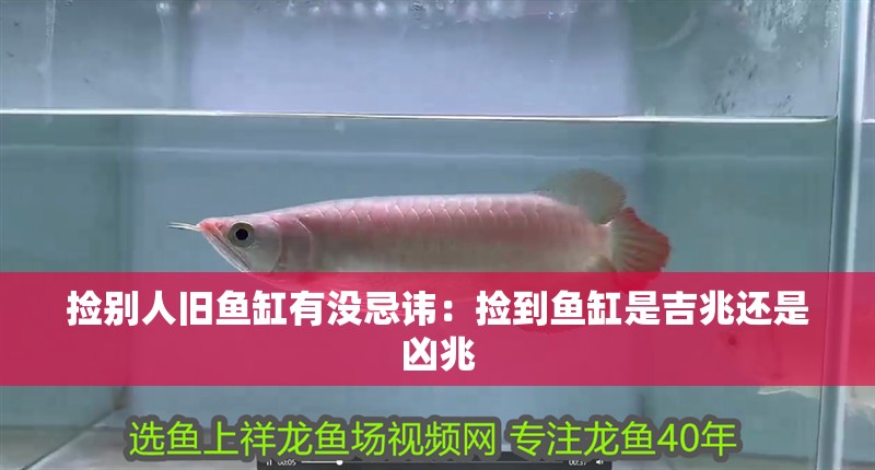 撿別人舊魚缸有沒忌諱：撿到魚缸是吉兆還是兇兆 撿別人舊魚缸有沒忌諱：撿到魚缸是吉兆還是兇兆 龍魚百科 第1張