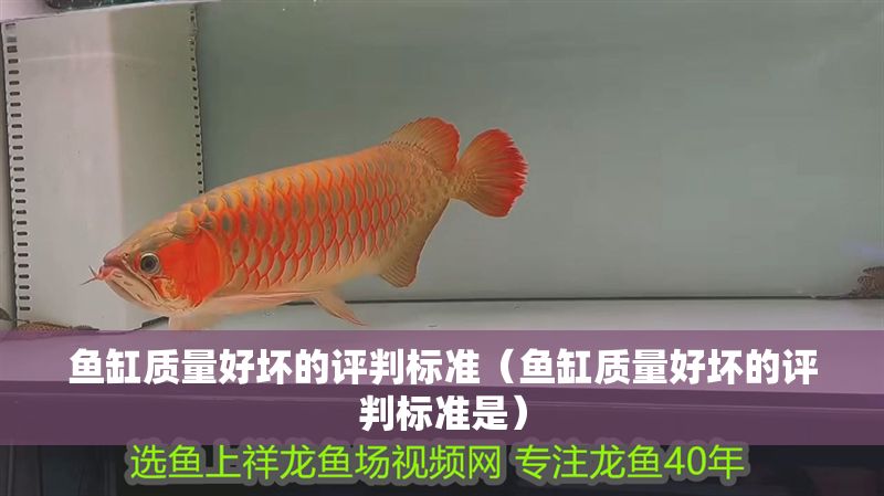 魚(yú)缸質(zhì)量好壞的評(píng)判標(biāo)準(zhǔn)（魚(yú)缸質(zhì)量好壞的評(píng)判標(biāo)準(zhǔn)是）