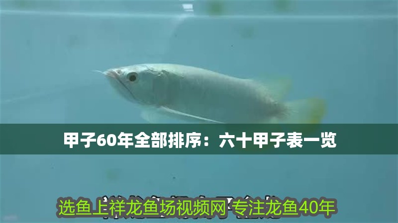 甲子60年全部排序：六十甲子表一覽