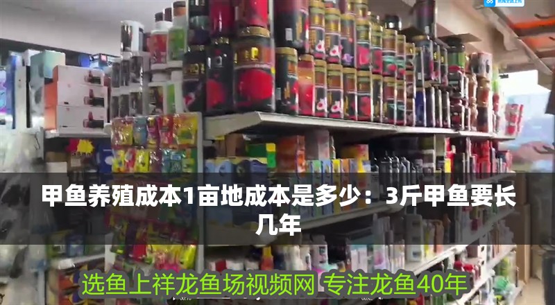 甲魚養(yǎng)殖成本1畝地成本是多少：3斤甲魚要長(zhǎng)幾年
