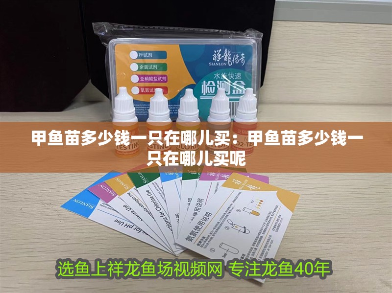 甲魚苗多少錢一只在哪兒買：甲魚苗多少錢一只在哪兒買呢