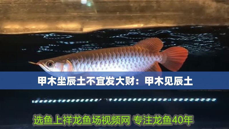 甲木坐辰土不宜發大財：甲木見辰土