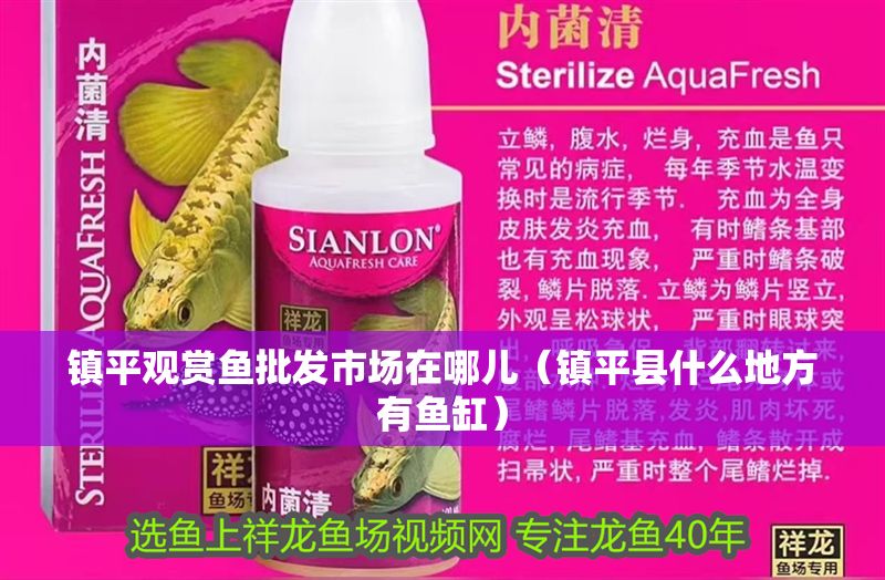 鎮(zhèn)平觀賞魚批發(fā)市場在哪兒（鎮(zhèn)平縣什么地方有魚缸）