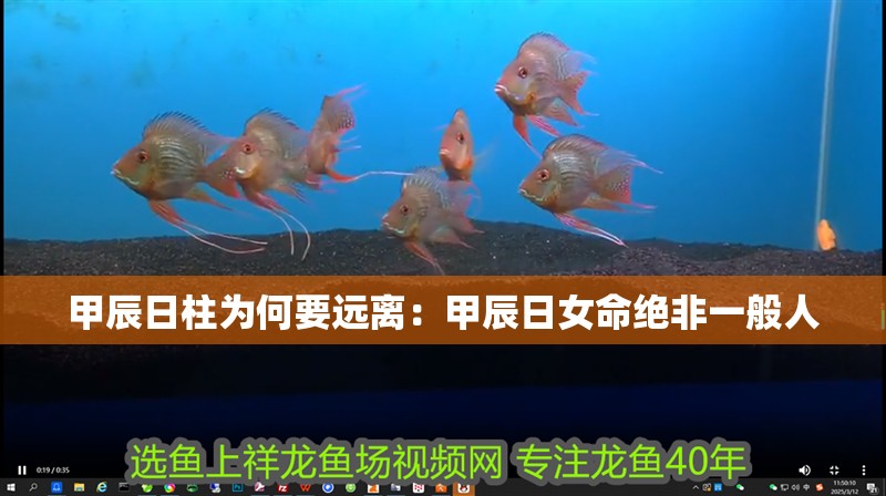 甲辰日柱為何要遠離：甲辰日女命絕非一般人