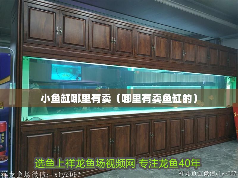 小魚(yú)缸哪里有賣(mài)（哪里有賣(mài)魚(yú)缸的）